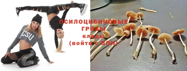 ECSTASY Белоозёрский