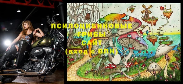 ECSTASY Белоозёрский