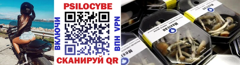 Псилоцибиновые грибы MAGIC MUSHROOMS  купить   ОМГ ОМГ вход  Гудермес 