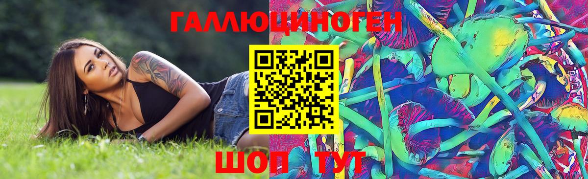 Псилоцибиновые грибы MAGIC MUSHROOMS Гудермес