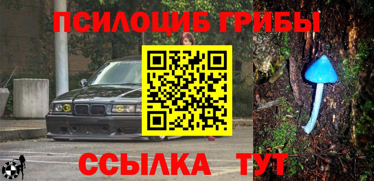 Галлюциногенные грибы мухоморы  Вход с VPN  Гудермес 